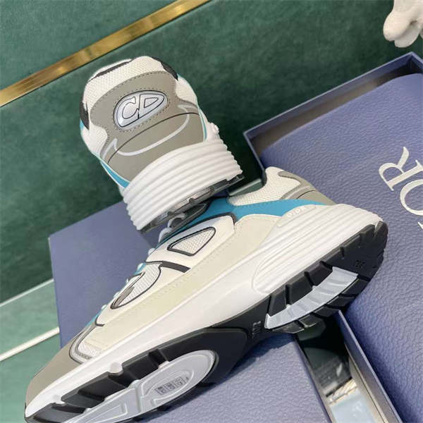DIOR B30