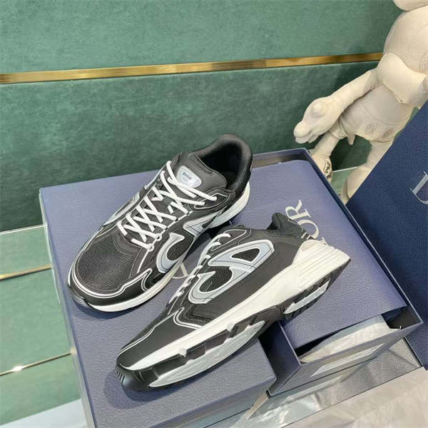 DIOR  B30