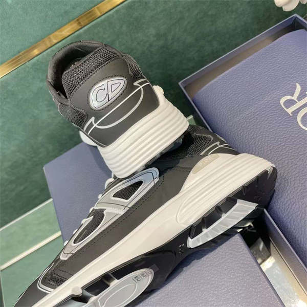 DIOR  B30