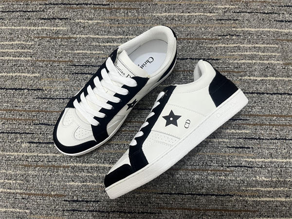 Dior Sneaker 033