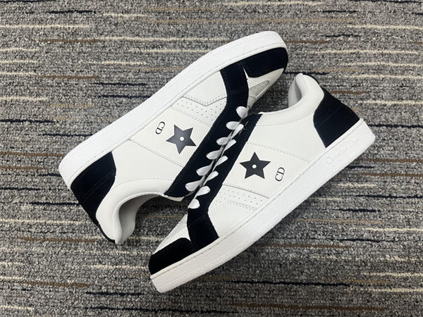 Dior Sneaker 033