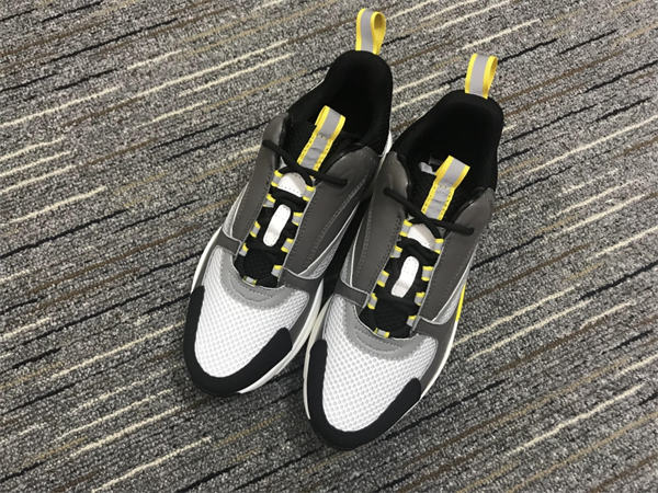 Dior B22