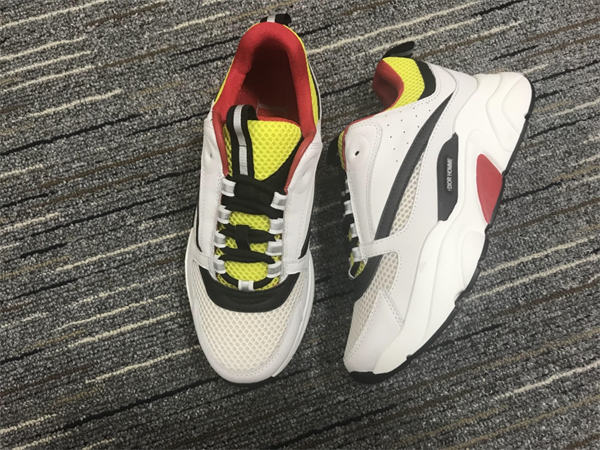 Dior B22