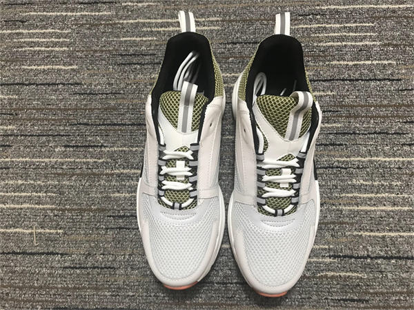 Dior B22