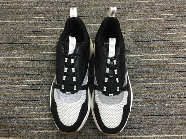 Dior B22