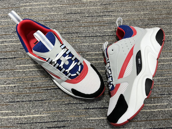 Dior B22