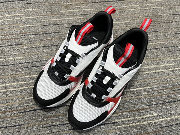 Dior B22