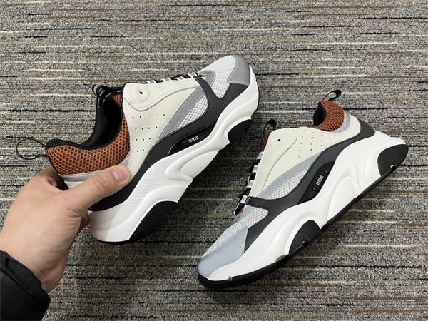 Dior B22