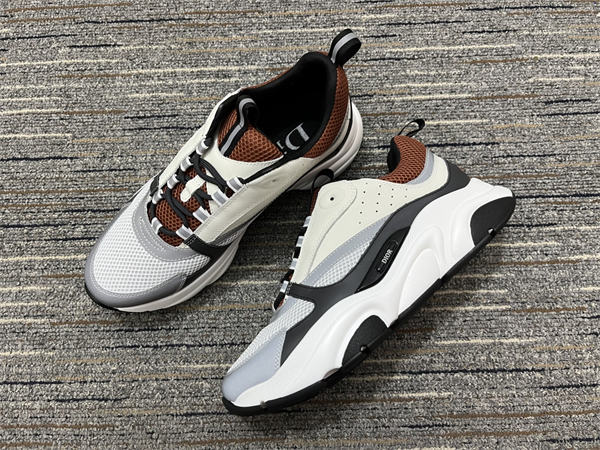 Dior B22