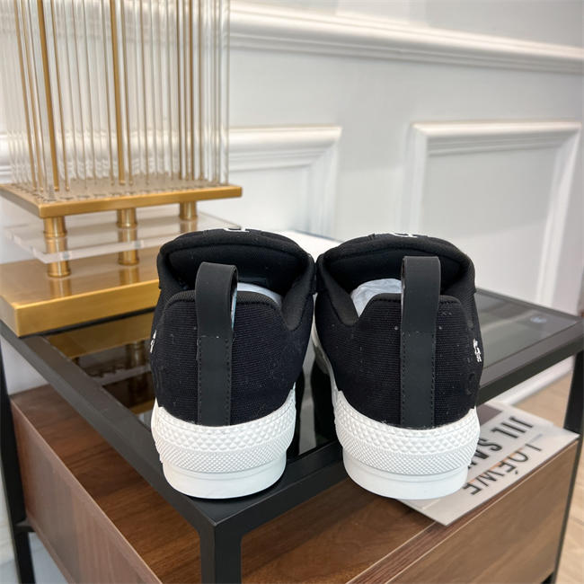 Dior B23 Low Top