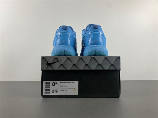 Nike Zoom Kobe 6 PE2023-100