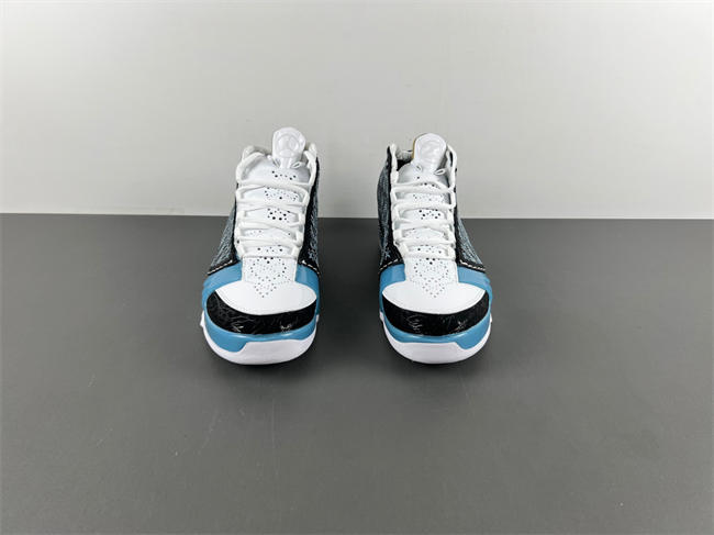 Air Jordan 23 UNC 318376-041
