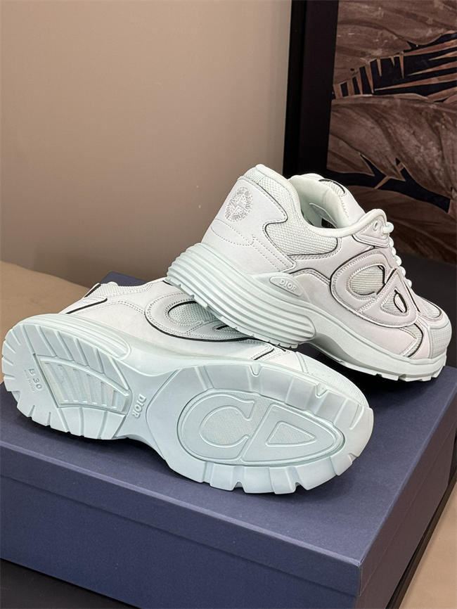 DIOR B30