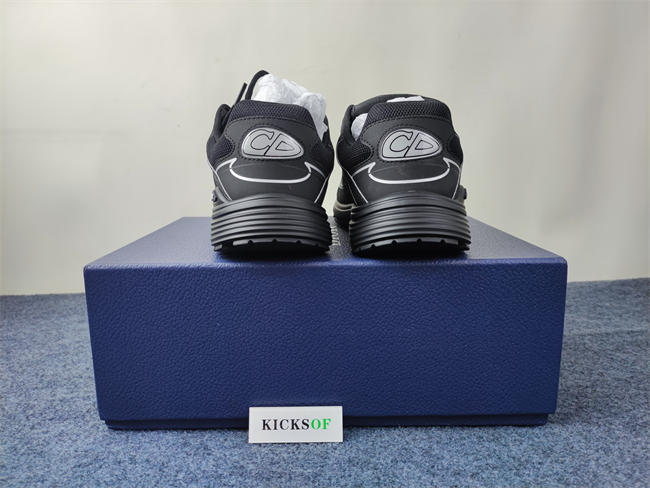 DIOR B30