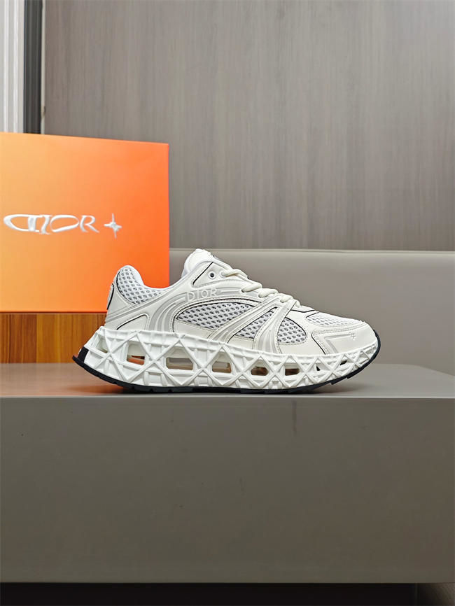 DIOR B35 103