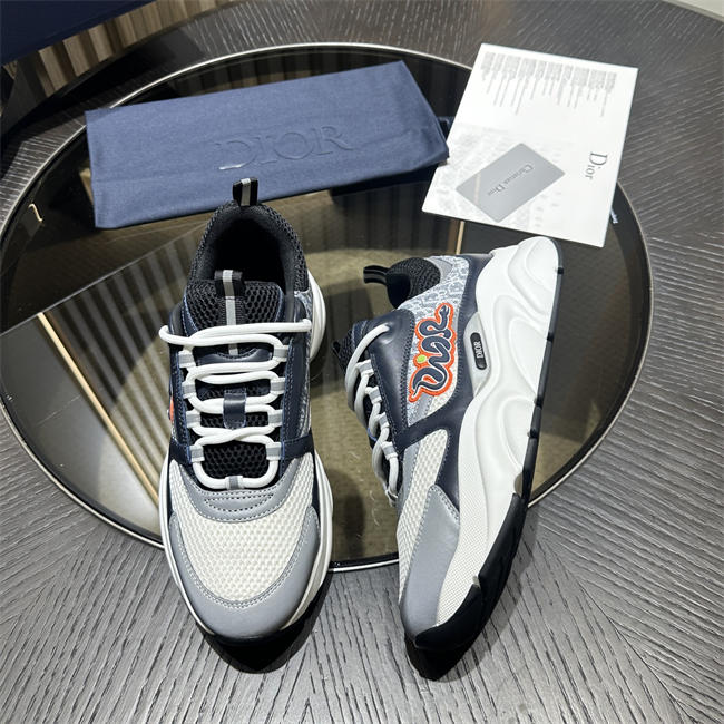 DIOR B22 884