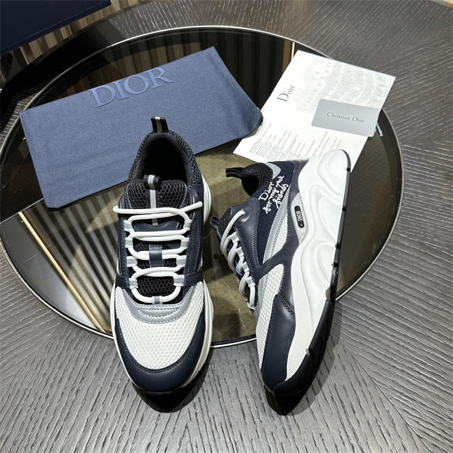 Dior B22