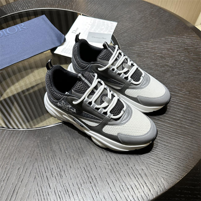Dior B22
