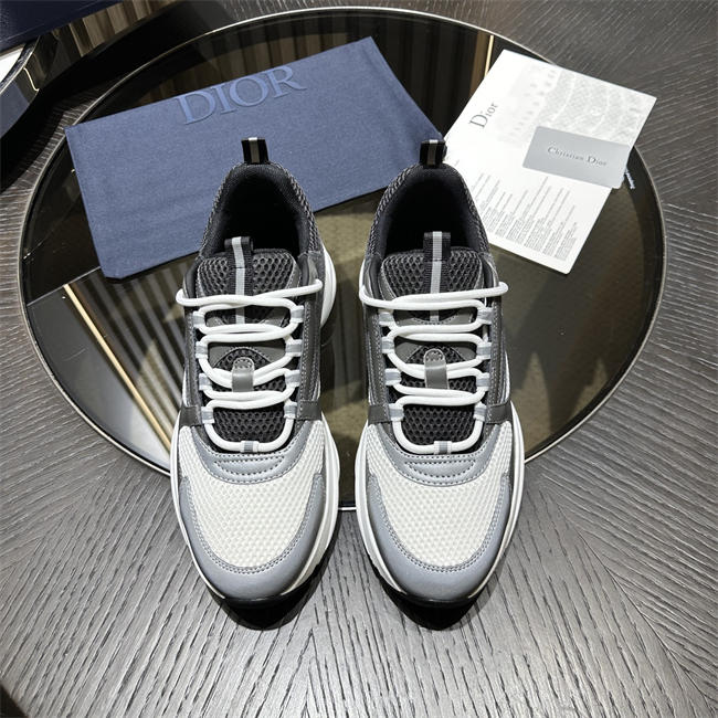 Dior B22