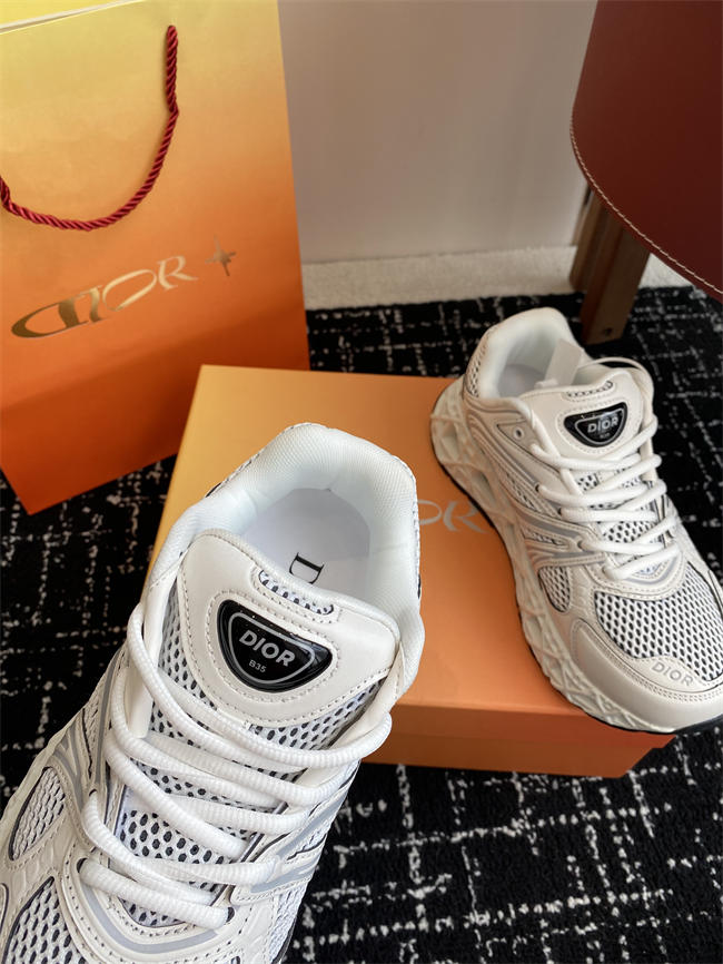 Dior B35