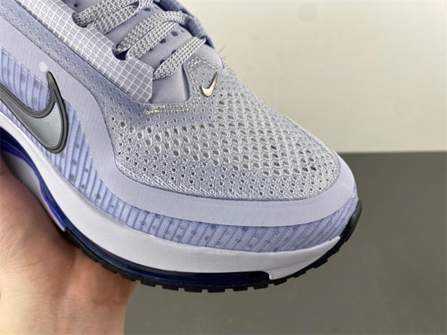 Nike Pegasus Premium 