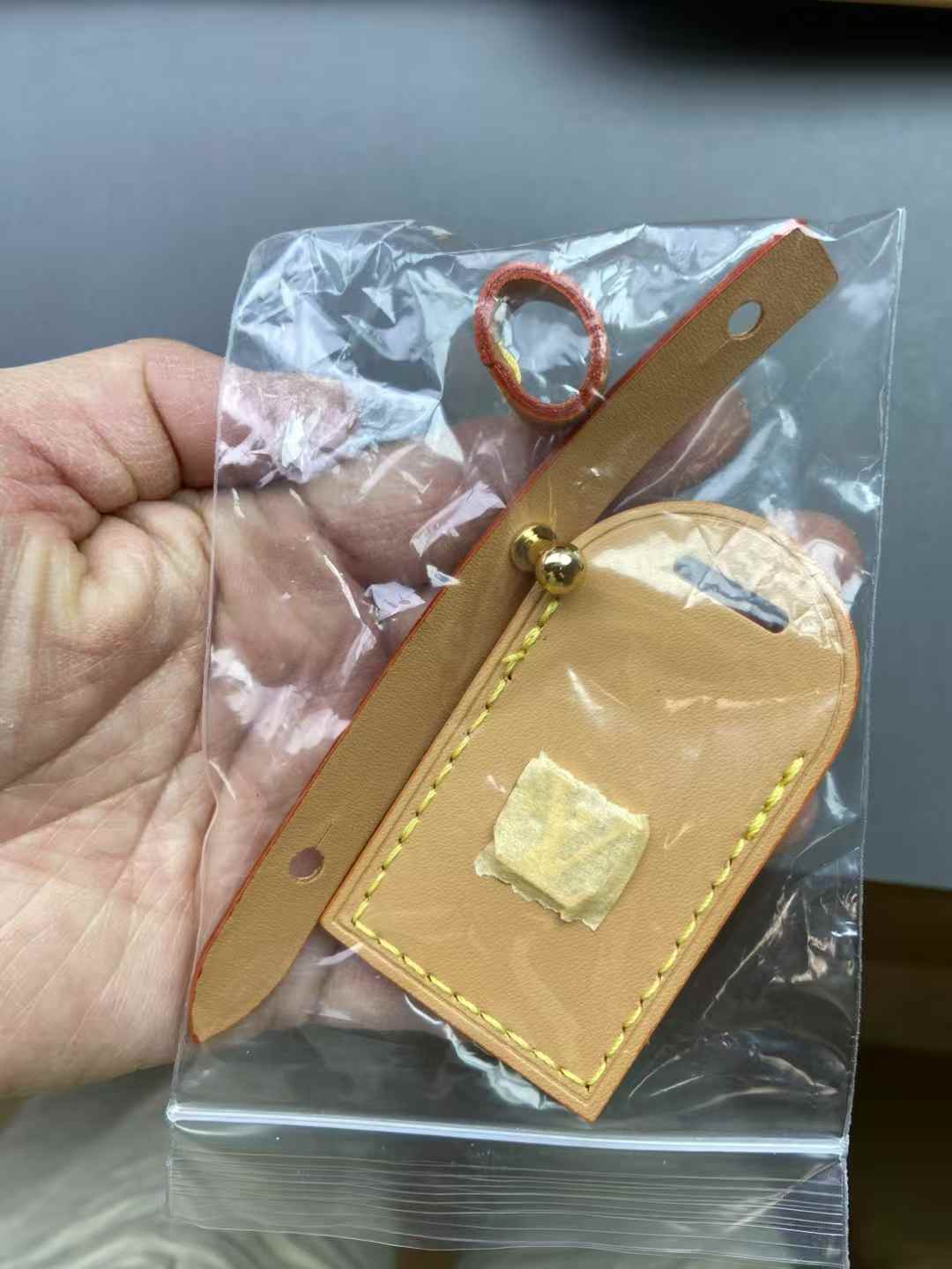 LV BAG