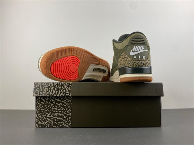 Air Jordan 3 “Family Affair”