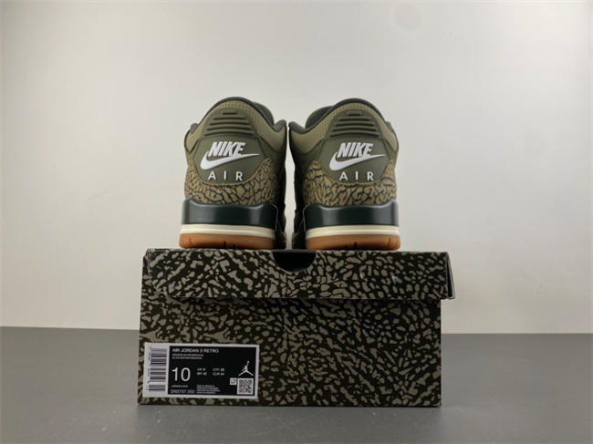 Air Jordan 3 “Family Affair”